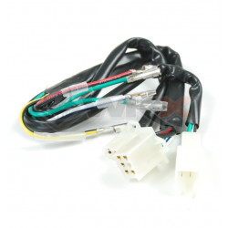 Faisceau électrique