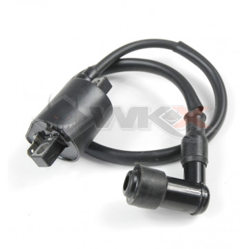 Bobine d'allumage haute tension LIFAN
