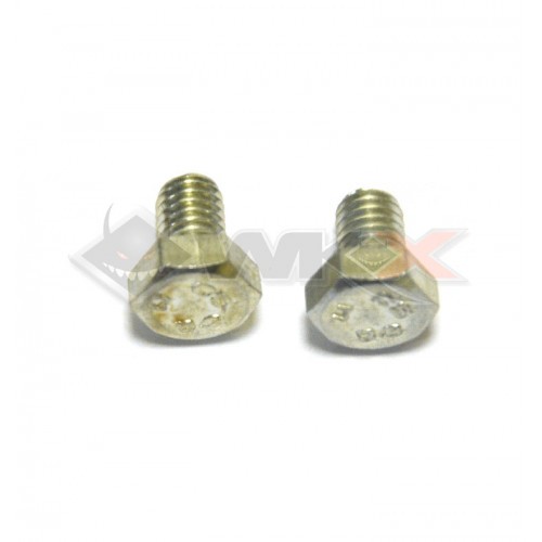 Vis H6x8 clips pignon