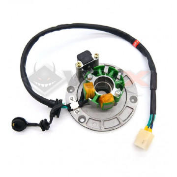 Stator d'allumage SYS DAYTONA ANIMA