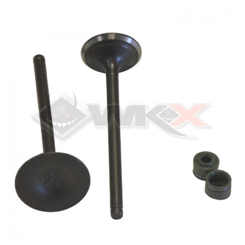 Kit soupapes 27-31,5 de moteur 250 ZONGSHEN