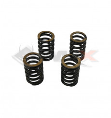 Piece Ressorts d'embrayage rigides YCF DAYTONA ANIMA de Pit Bike et Dirt Bike