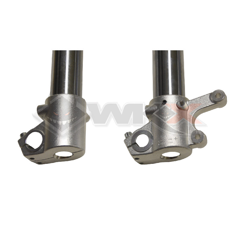 Fourche inversée de 780 mm, axe 15 mm, réglable compression-détente pour pit bike, dirt bike et mini moto