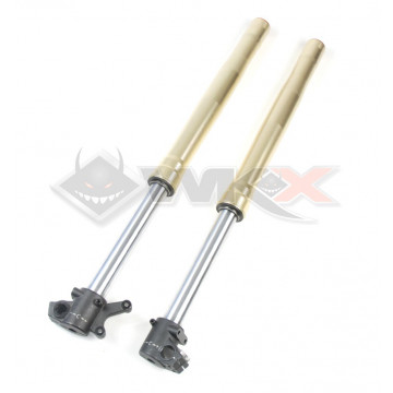 Tubes de fourche STAGGS 735mm réglable