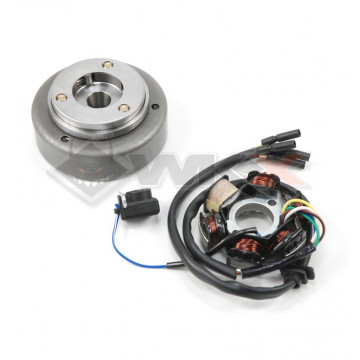 Allumage rotor + stator pour moteur démarreur électrique de Quad 110 et quad 125