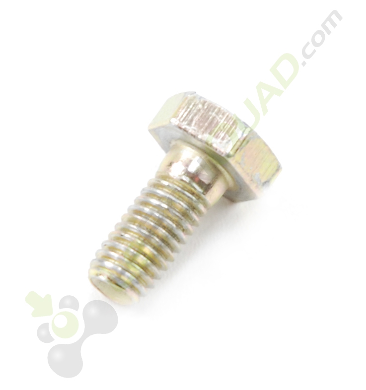 Vis M5x12 pignon arbre à came