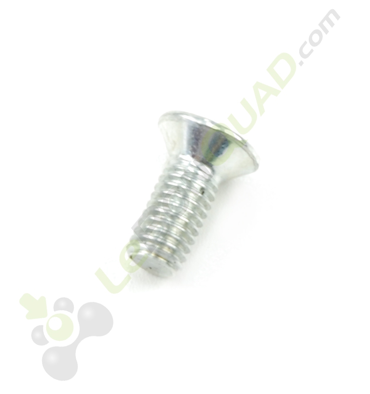 Vis conique M6X12