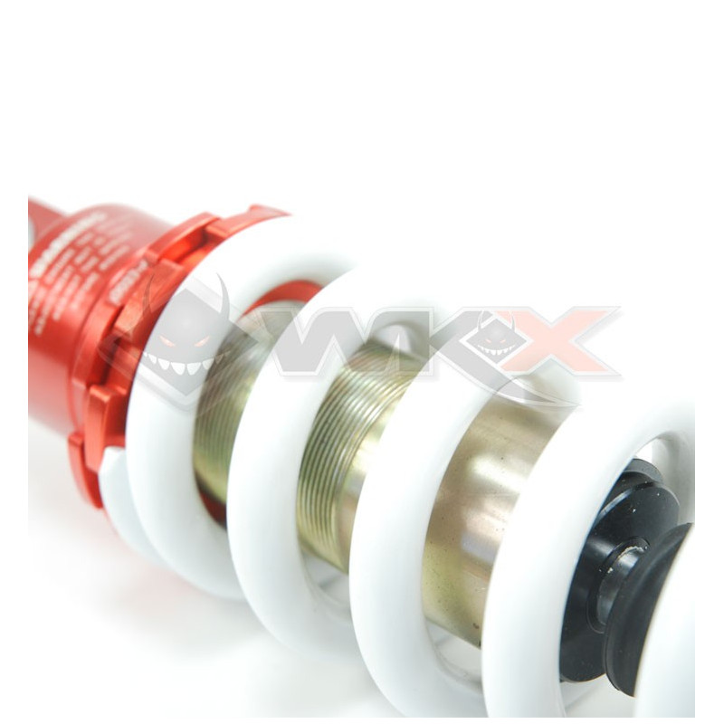 Amortisseur 295mm FAST ACE BS33AR