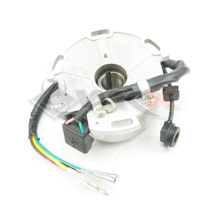 Allumage 150 LIFAN rotor + stator