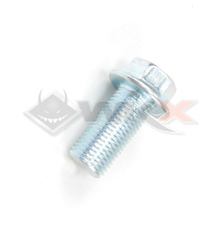 Vis M12x25