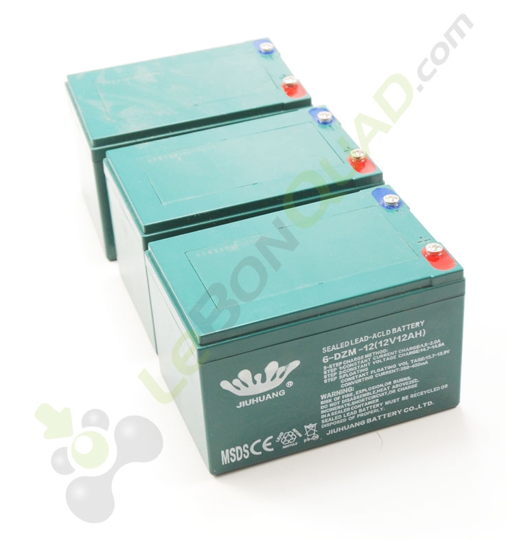 Pack 3 batterie 6-DZM-12 12V12Ah de quad pocket électrique E-Rex