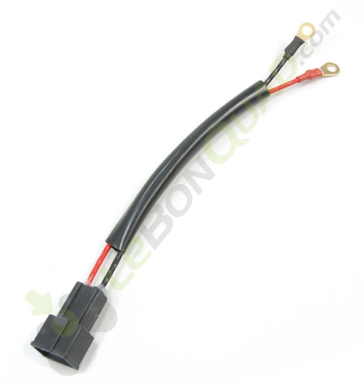 Faisceau controleur regulateur / moteur