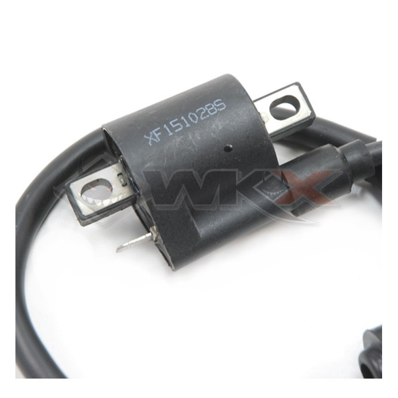 Bobine d'allumage haute tension LIFAN