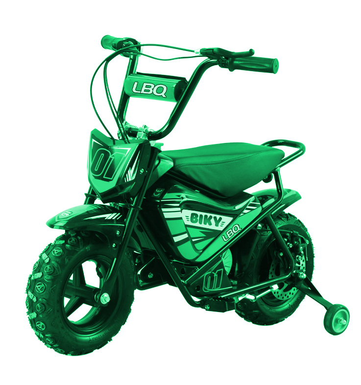 Mini Moto électrique 250W Lebonquad BIKY, vert