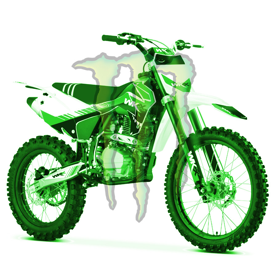 Moto cross 250ccc, Monster energy